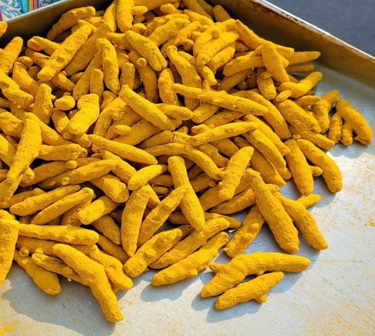 Turmeric Finger