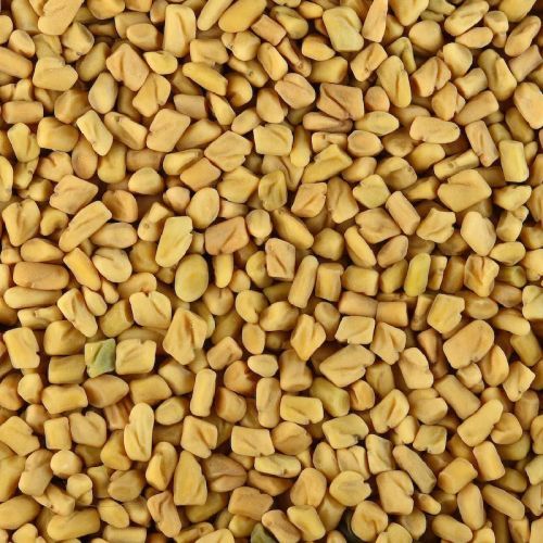 Fenugreek Seeds