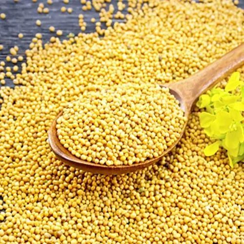 Yellow Mustard Seeds