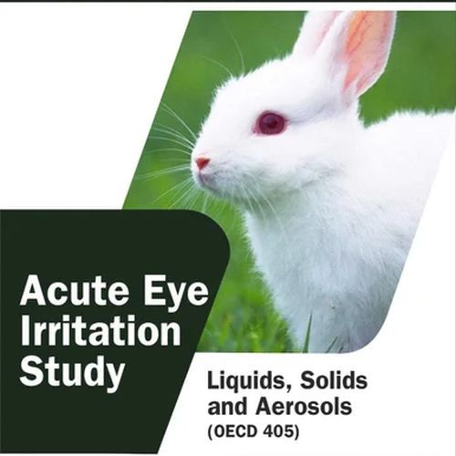 Acute Eye Irritation Testing Services