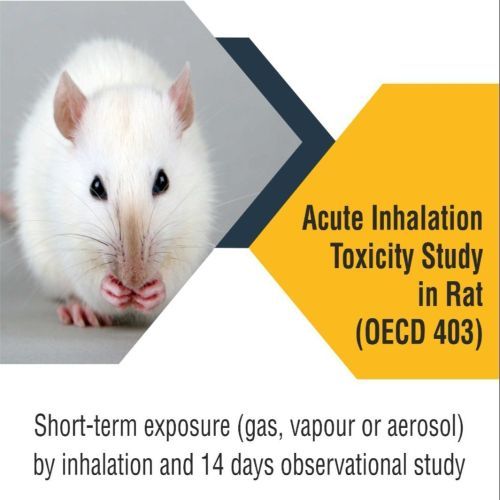 Acute Inhalation Toxicity Study