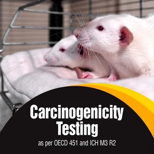 Carcinogenicity Testing Services
