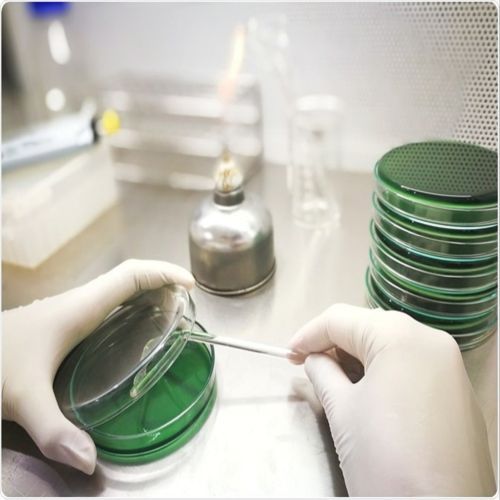 Microbial Limit Test Service