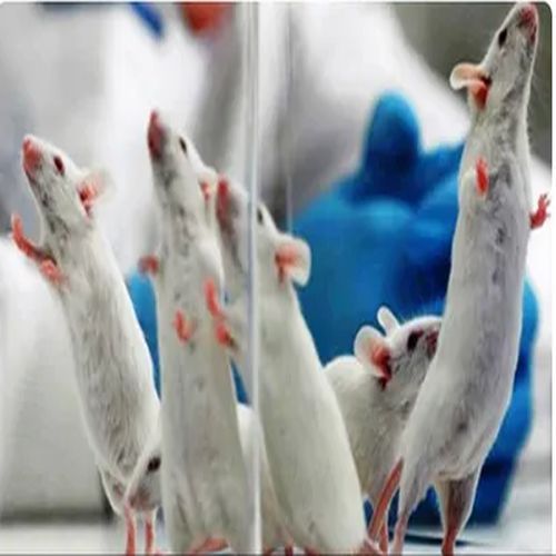 Pharmacological Study Services