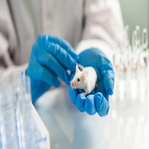 sub chronic toxicity service