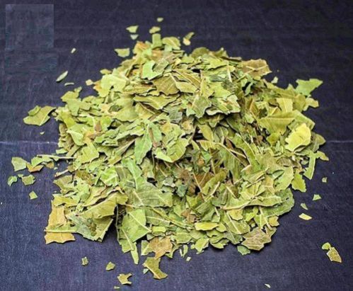 Dried Neem Leaves