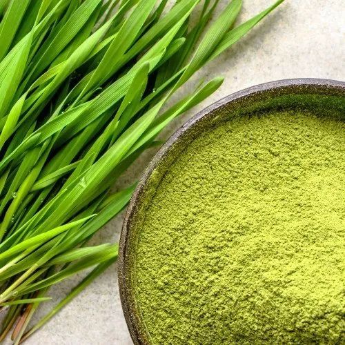 Natural Wheat Grass Powder