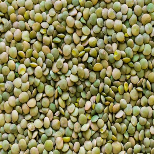 Green Lentil