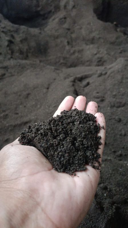 Black Vermicompost Fertilizer