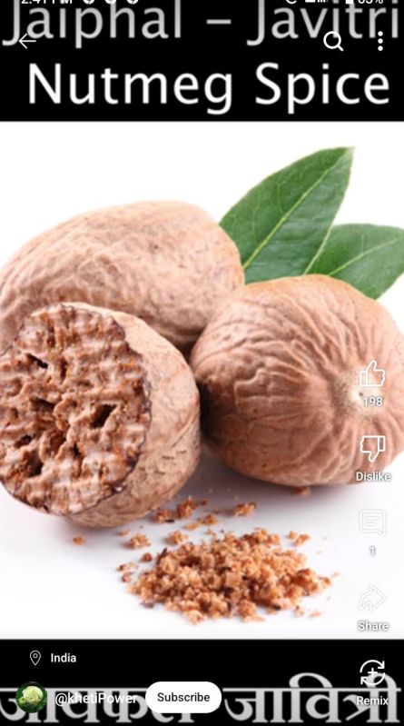 Dried Nutmeg