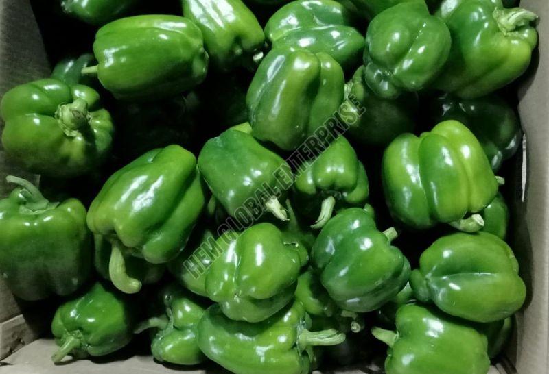Fresh Capsicum
