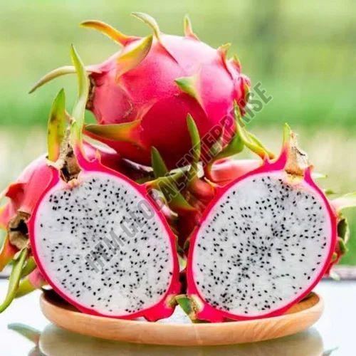 Fresh Dragon Fruit