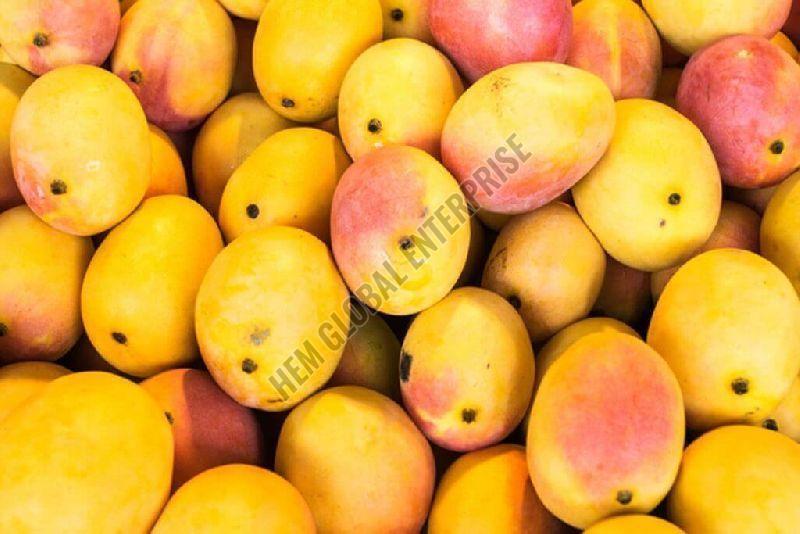 Fresh Mangoes