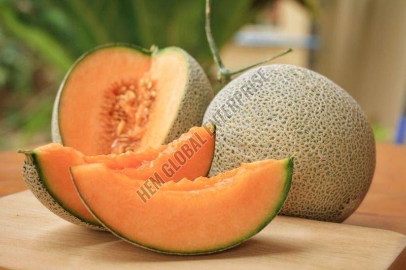 Fresh Muskmelon