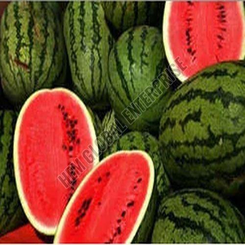 Fresh Watermelon