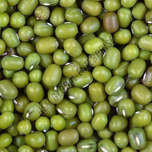 Green Gram Pulses