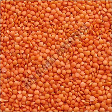 Red Lentil Pulses