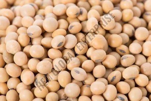 Soybean Pulses