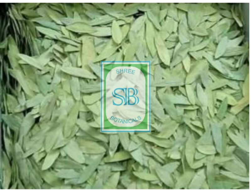 Senna Leaves