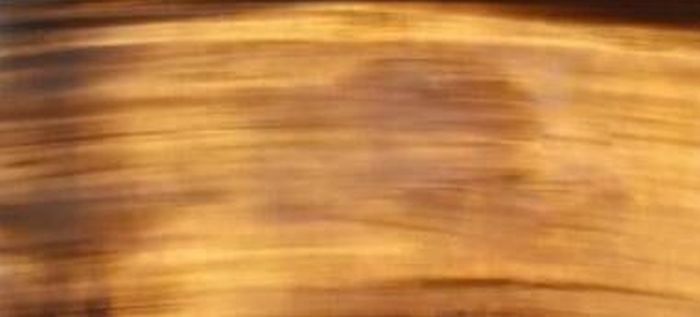 Ligth Brown Buffalo Horn Plate