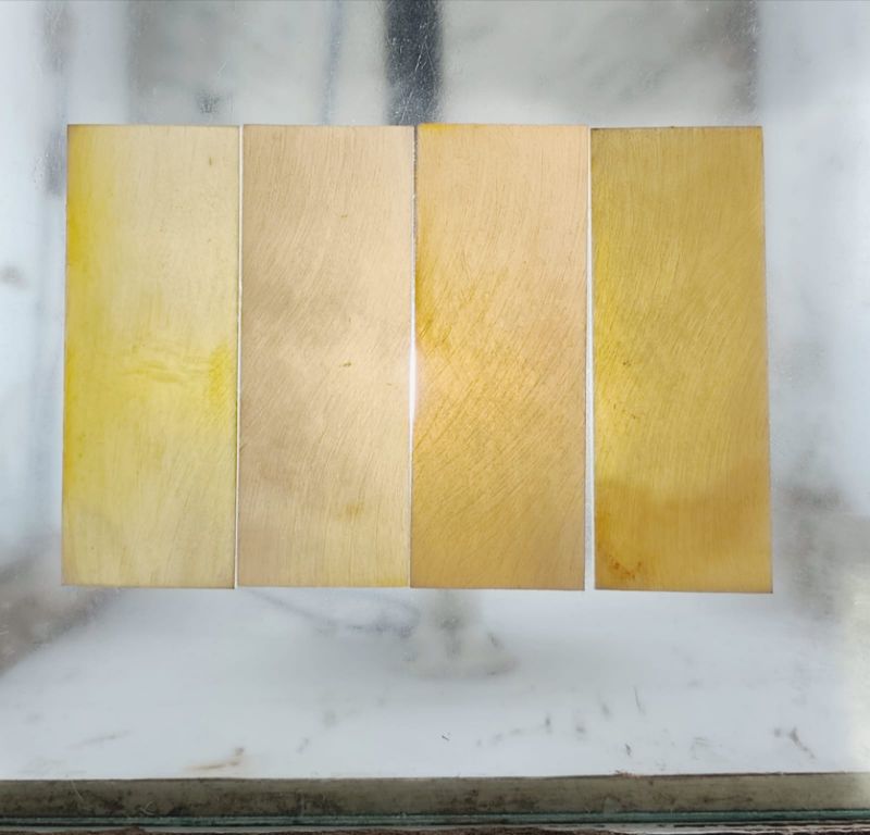 Buffalo Horn Plates
