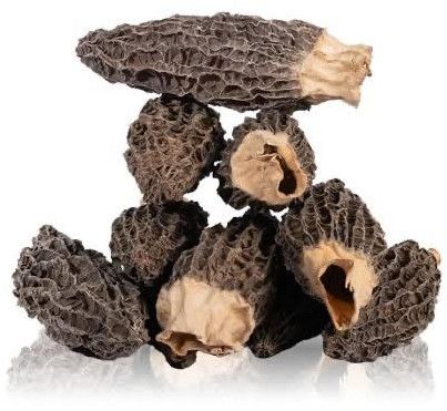 Dried Morel Mushroom