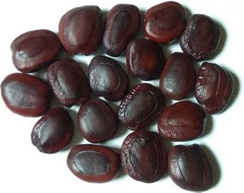 Natural Brown Tamarind Seed