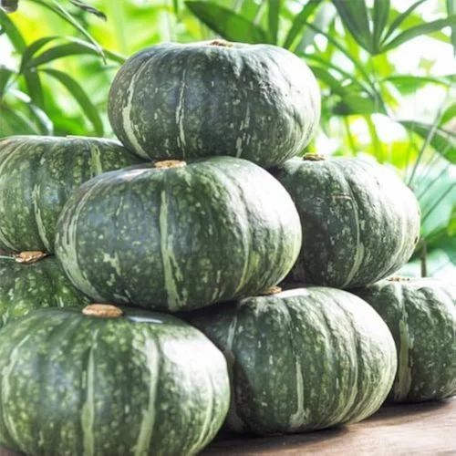 Fresh Raw Pumpkins