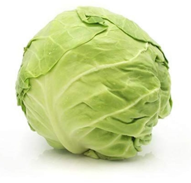 Green Leaf Cabbage