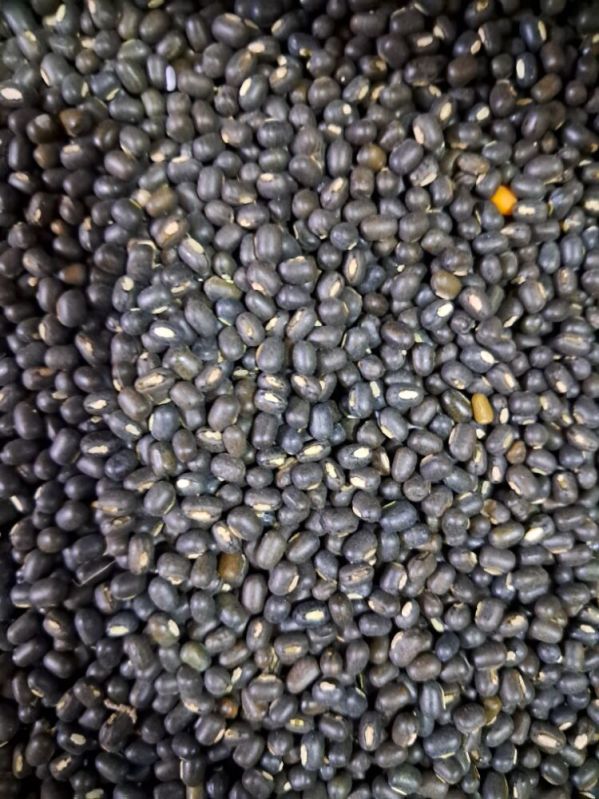 A Grade Whole Black Urad Dal