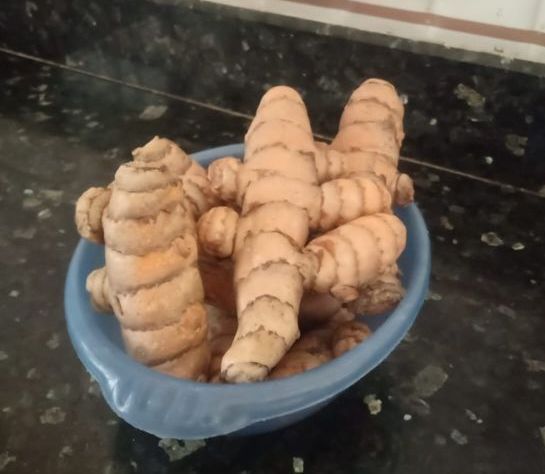 Organic Raw Turmeric Finger