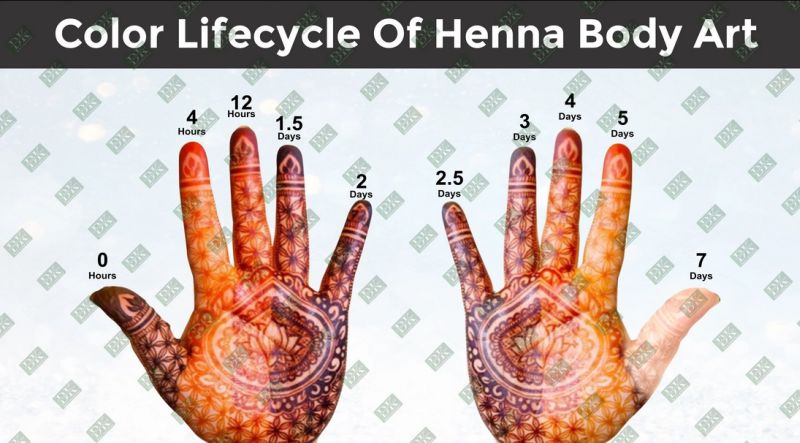 .BODY ART QUALITY HENNA: PREMIUM TRIPLE FILTER HENNA POWDER