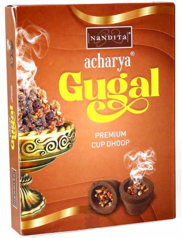 Nandita Acharya Guggal Dhoop Cup