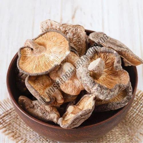Dry King Oyster Mushroom