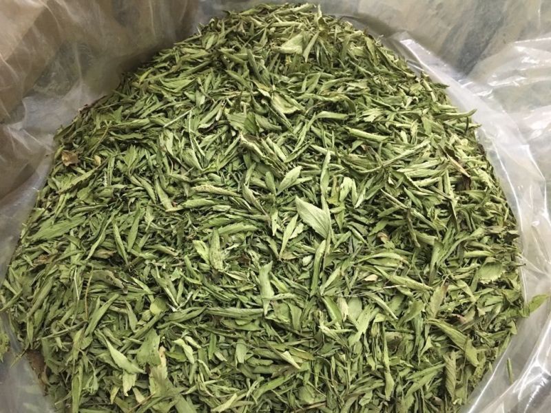 Dried Stevia Leaves