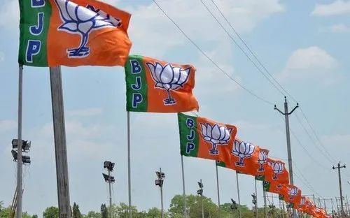 Digital Printed Election Flags