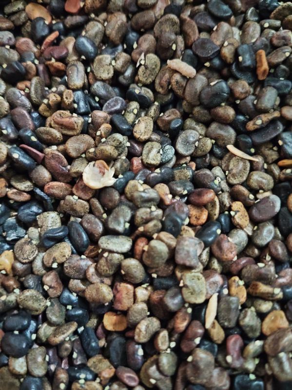 Butterfly Pea Flower Seeds