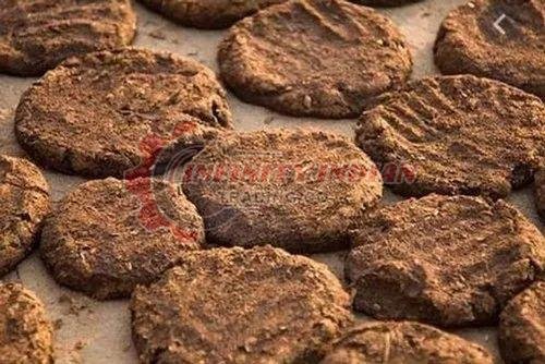 Cow Dung Cake