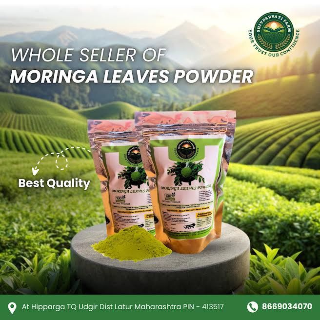 Moringa Leaves Powder