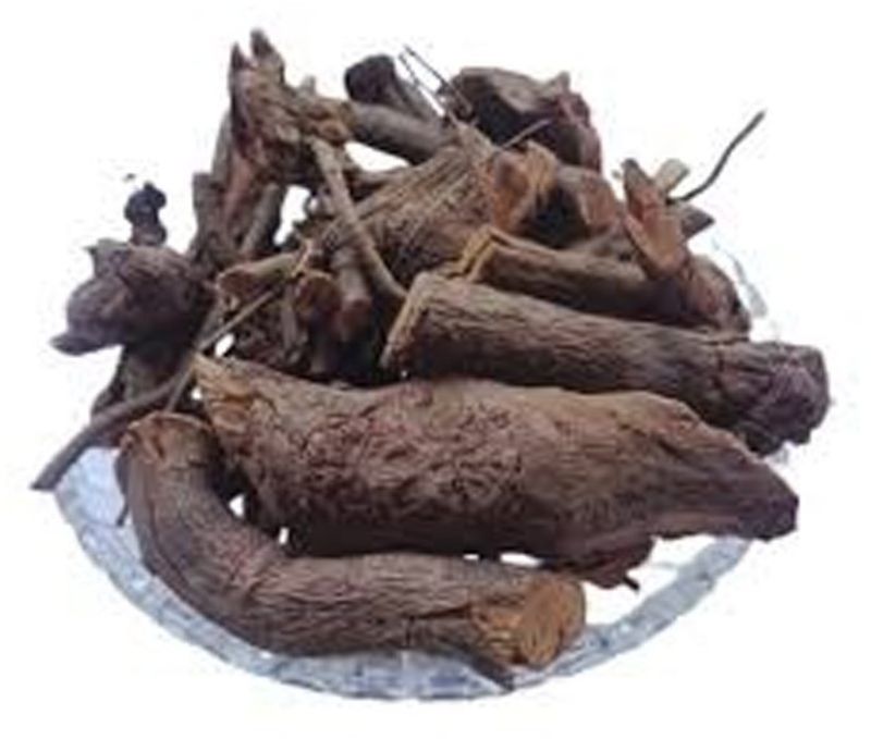 Chitramoolam Roots