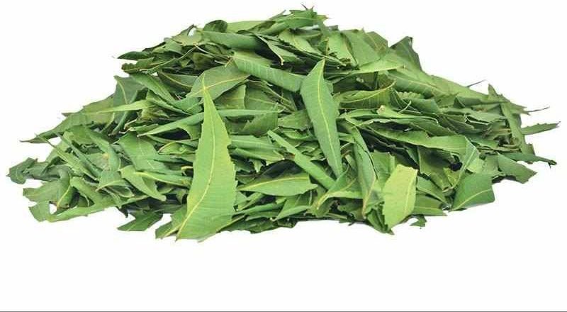 Dried Neem Leave