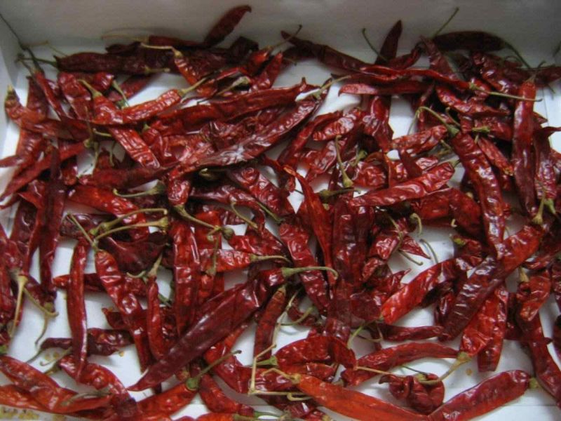 Wrinkled Dry Red Chilli