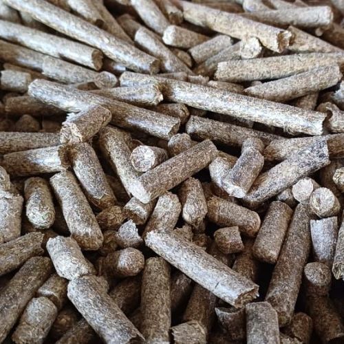 Cotton Stalk Biomass Briquettes
