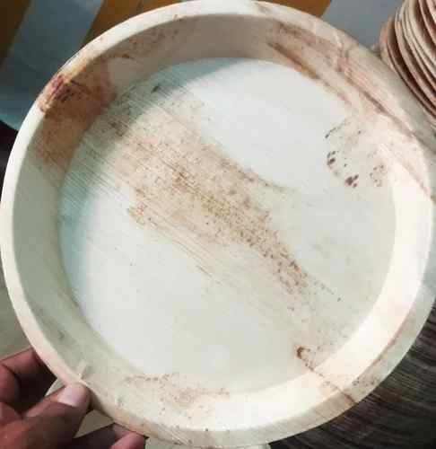 10 Inch Areca Leaf Plate