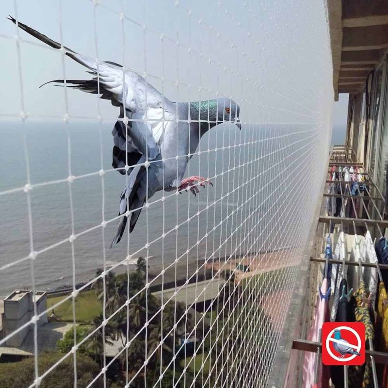 Birds Net Installation