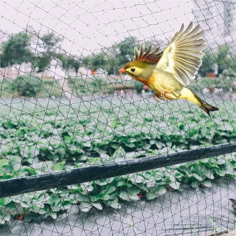 Bird Protection Safety Nets Installation Service