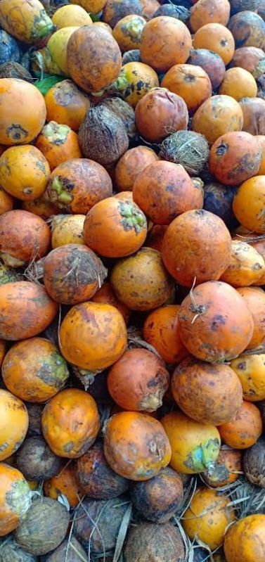 Raw Areca Nut