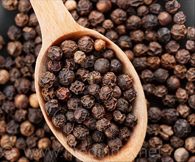 Pattani Black Pepper Seeds