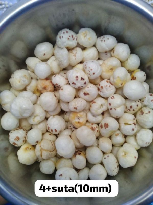10mm 4 Plus Suta Phool Makhana