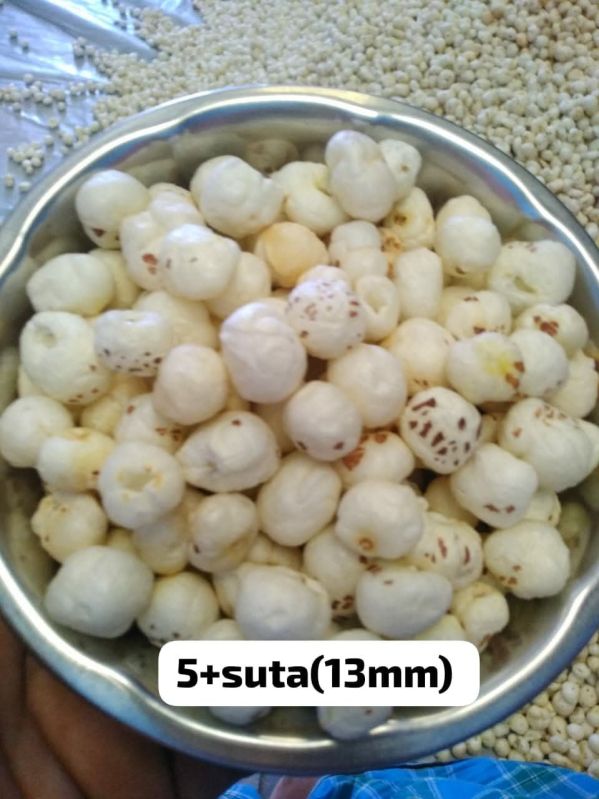 13mm 5 Plus Suta Phool Makhana